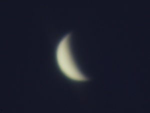 国立天文台三鷹で2010年12月8日に撮影した金星の画像（速報版）