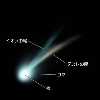 彗星の模式図
