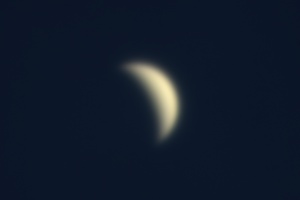 国立天文台三鷹で2010年9月17日に撮影した金星の画像