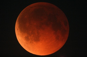 2007年8月28日の月食の画像